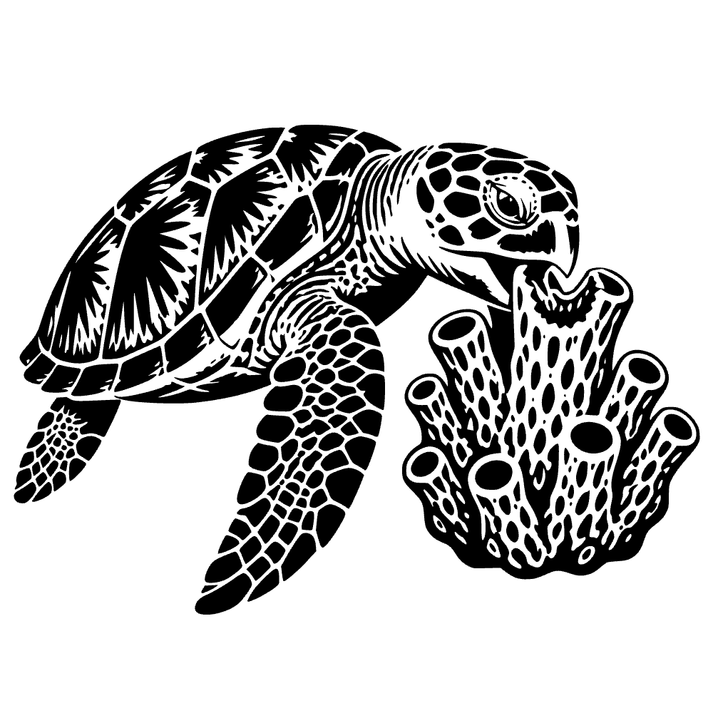 Tortuga carey comiendo — archivo SVG