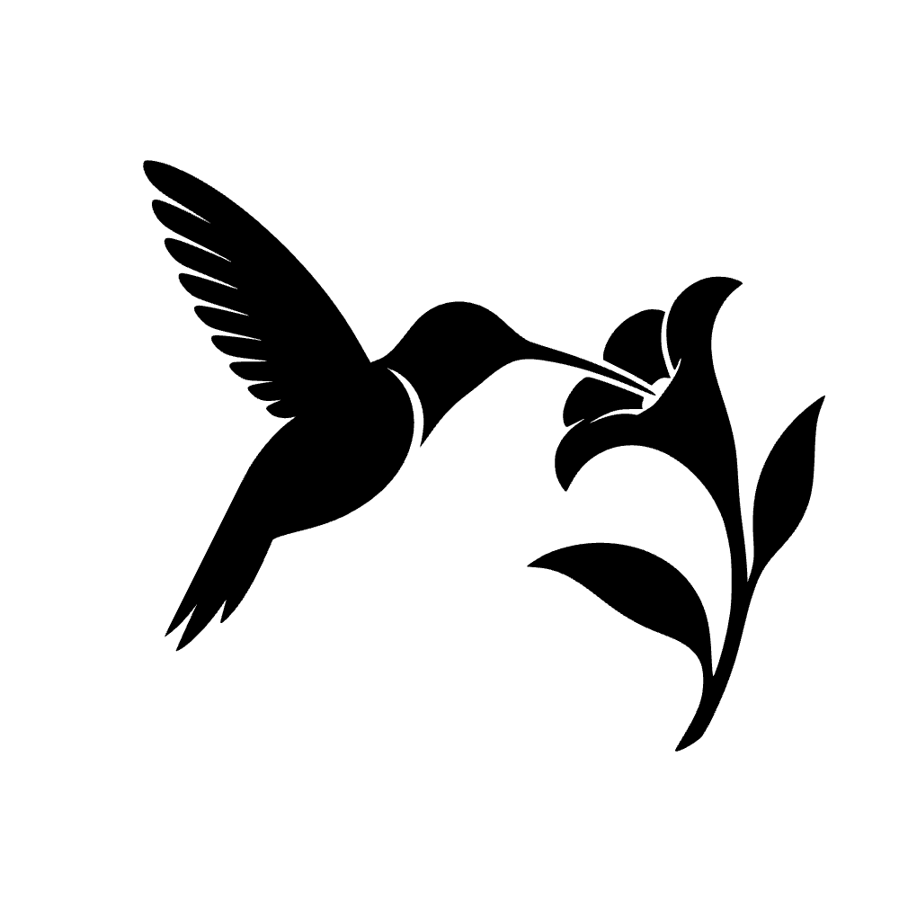 Colibrí alimentándose — archivo SVG