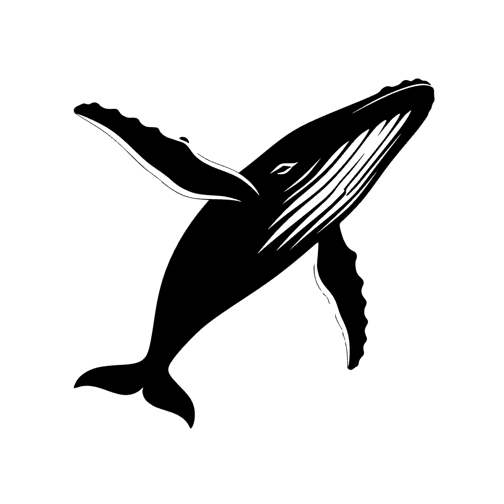 Ballena jorobada saltando — vista previa del archivo SVG
