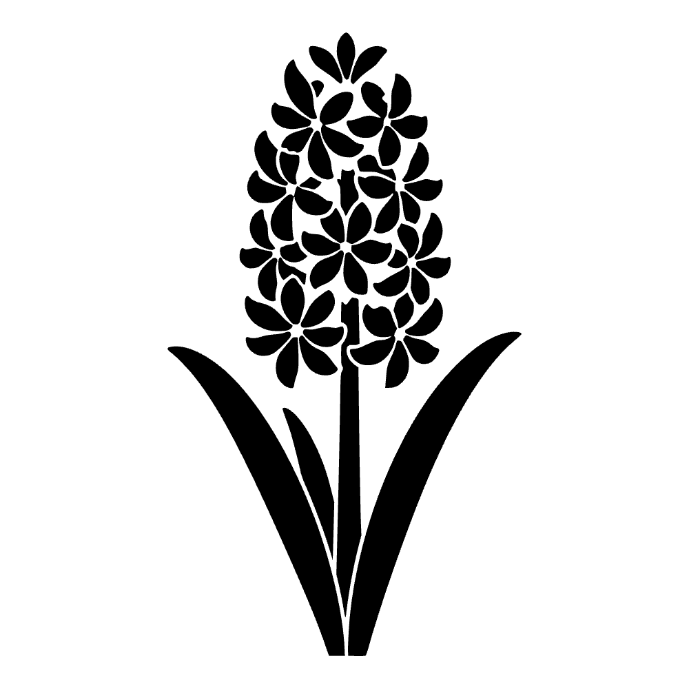 Flor de jacinto — archivo SVG