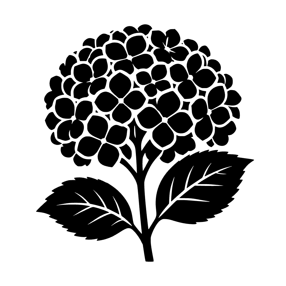 Flor de hortensia — vista previa del archivo SVG