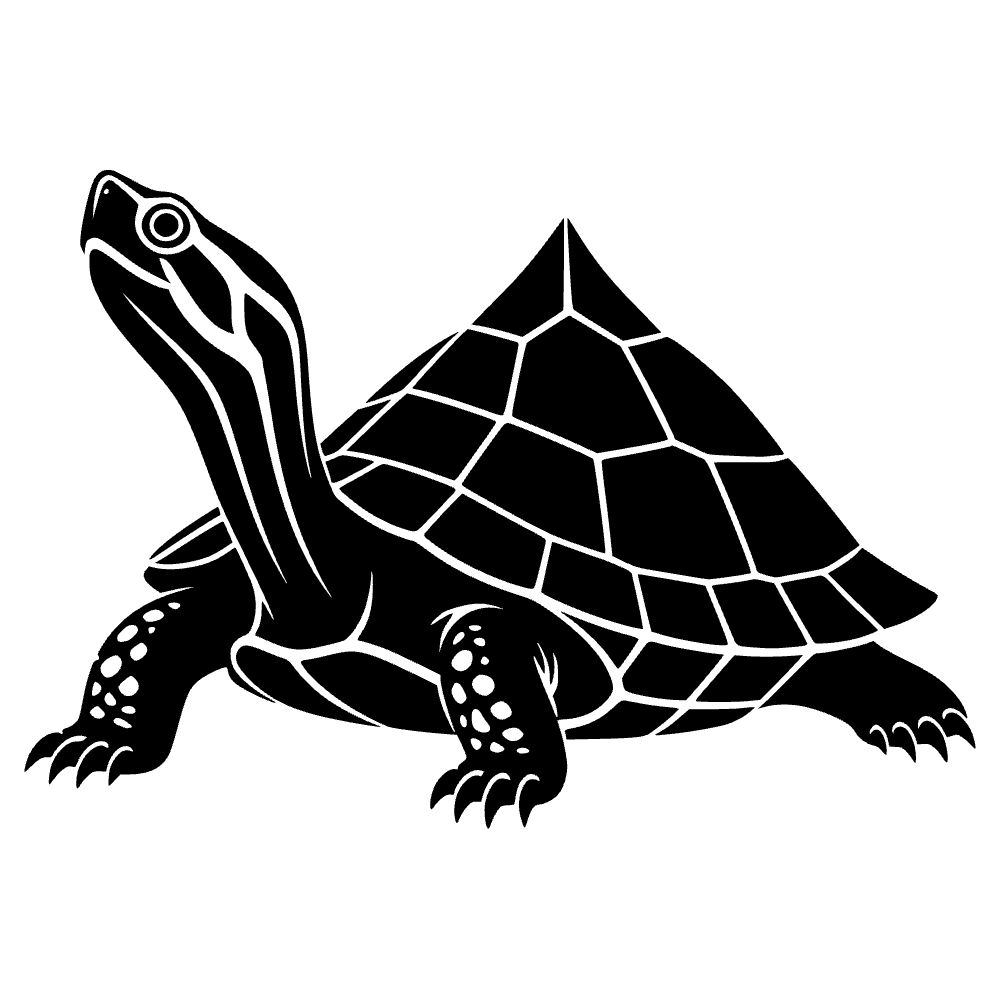 Tortuga con techo indio — archivo SVG