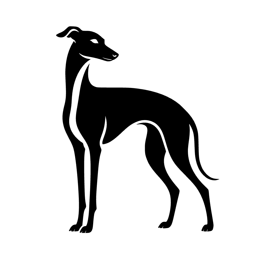 Perro galgo italiano — archivo SVG