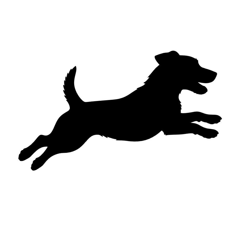 Terrier Jack Russell — archivo SVG