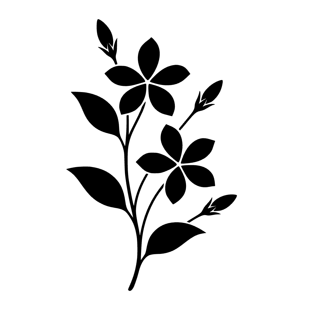 Rama de flor de jazmín — archivo SVG