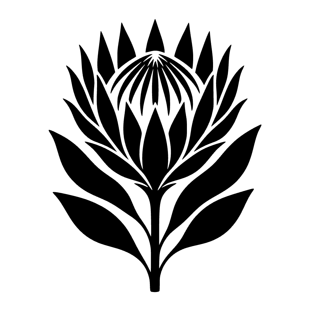 Flor de protea rey — archivo SVG