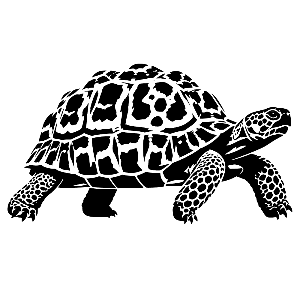 Leopard Tortoise SVG cut file