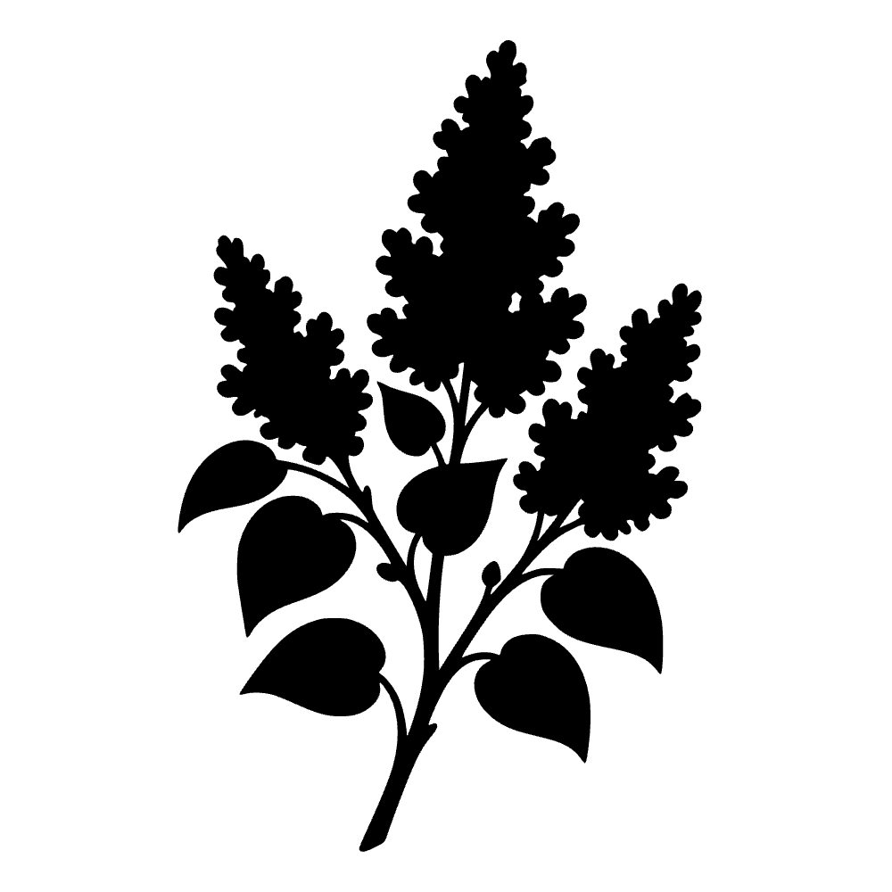 Rama de lila — archivo SVG