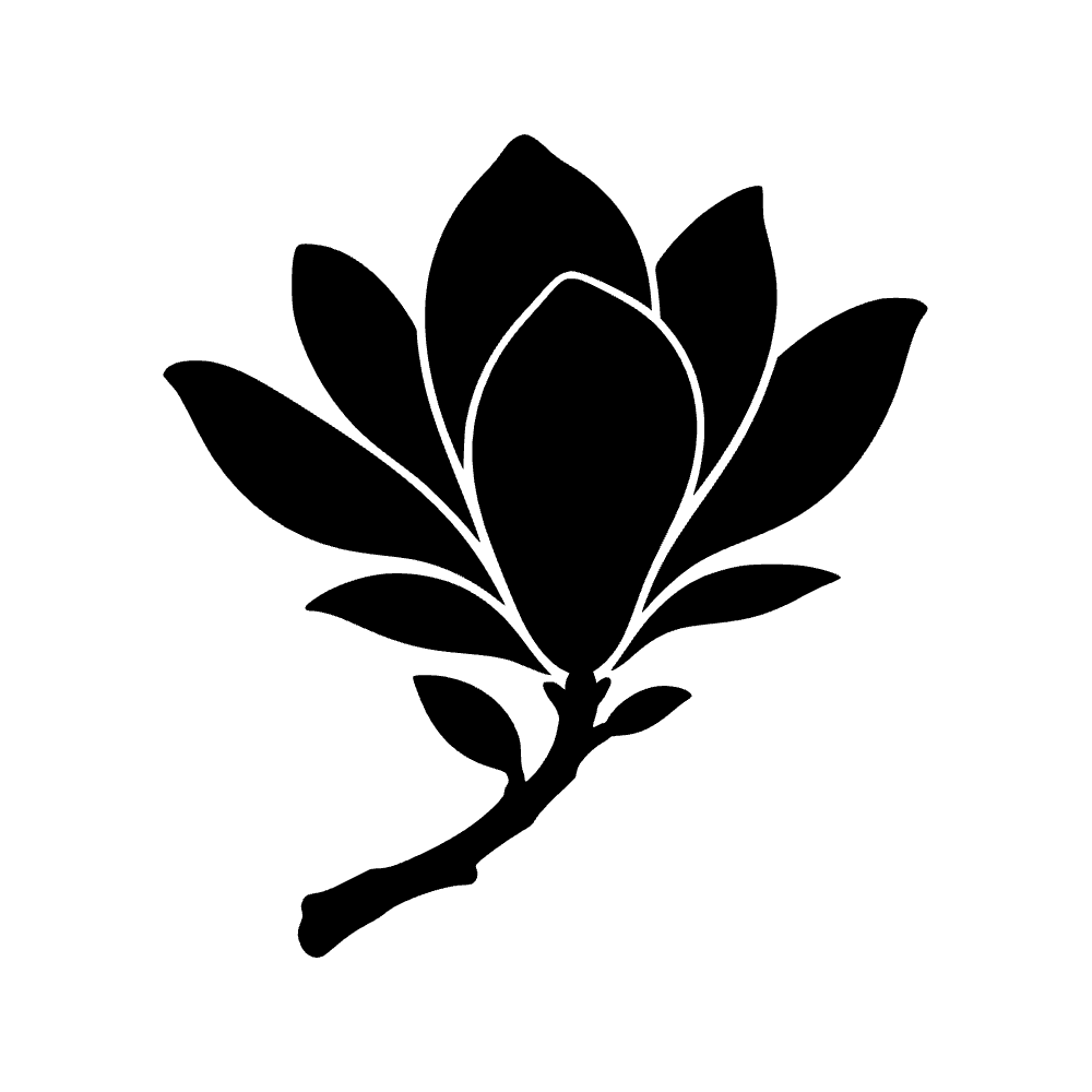 Rama de magnolia en flor — archivo SVG