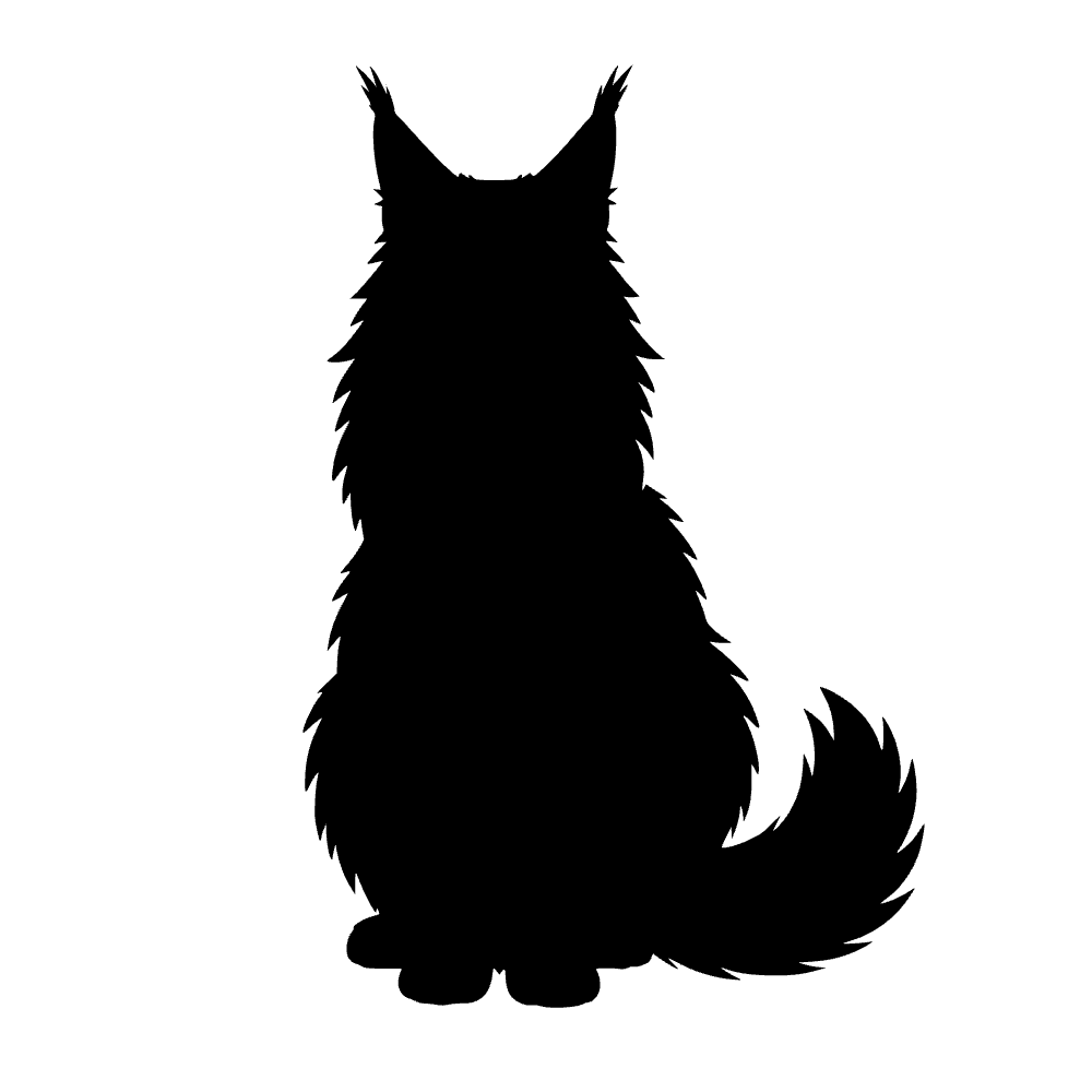 Gato Maine Coon — archivo SVG