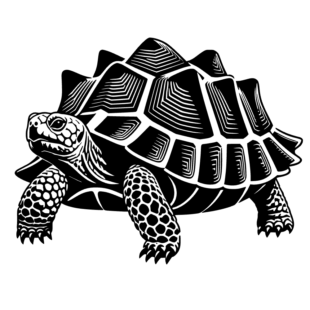 Icono de tortuga marginada — vista previa del archivo SVG