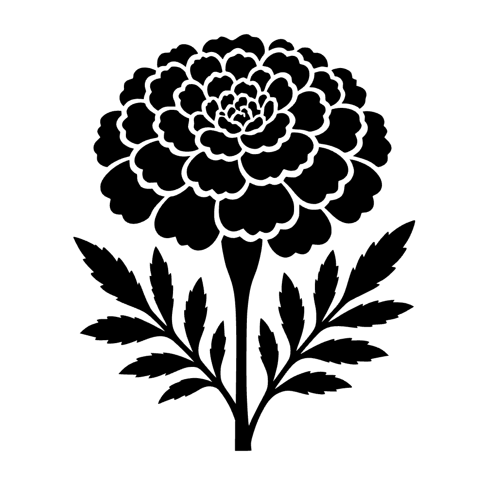 Flor de cempasúchil — archivo SVG