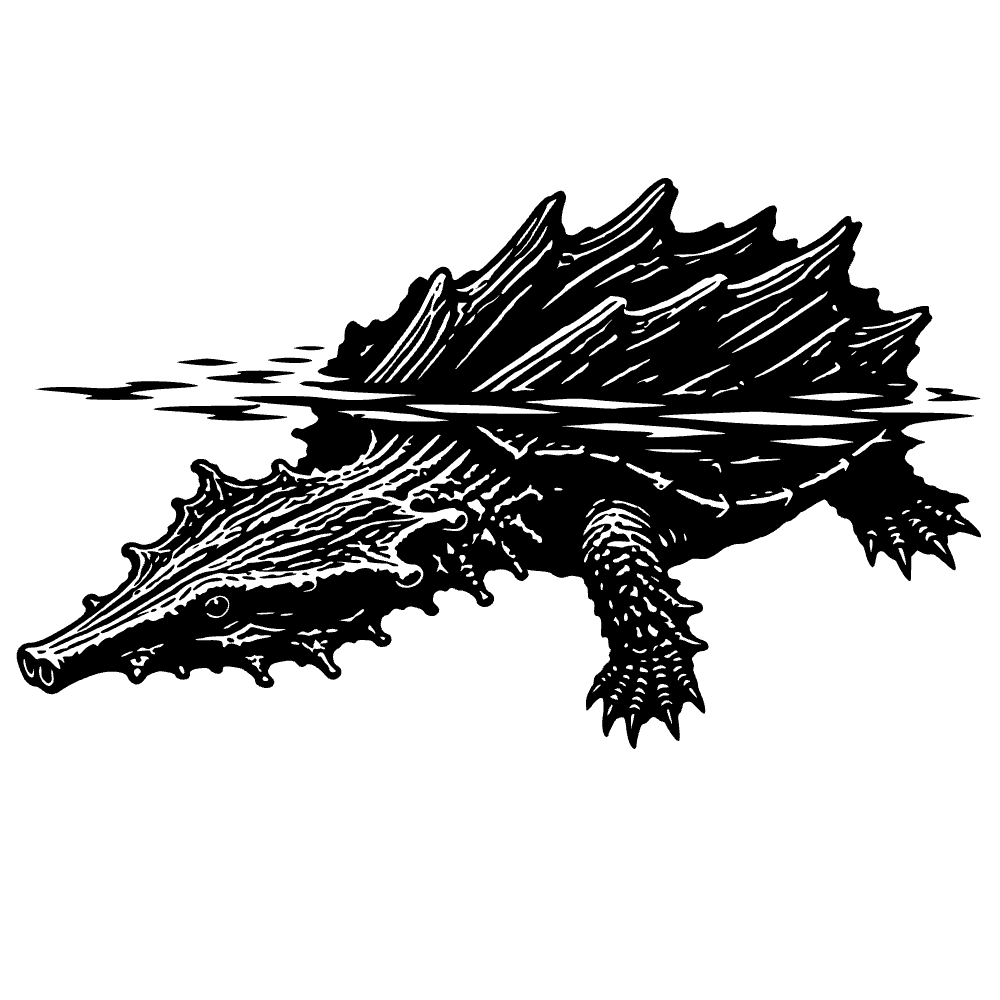 Tortuga matamata — archivo SVG