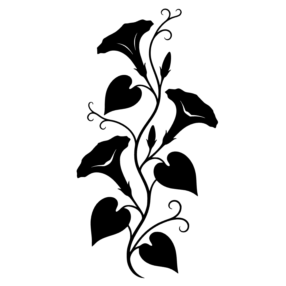 Enredadera de gloria de la mañana — archivo SVG