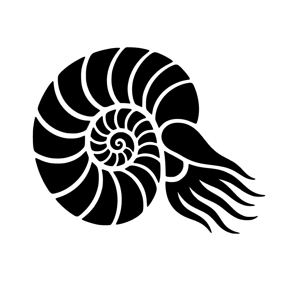 Caracol nautilus en espiral — archivo SVG