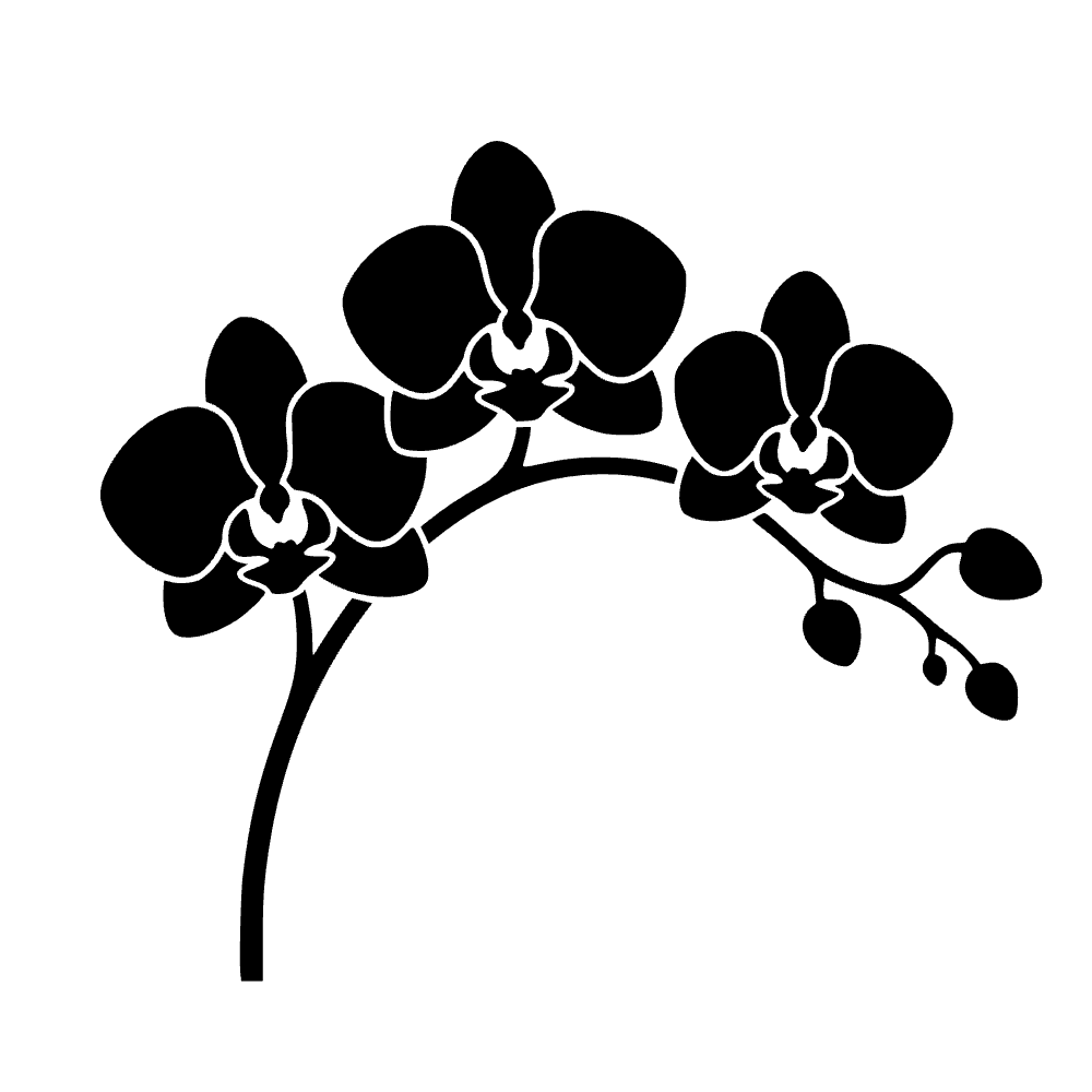 Ramo de orquídeas — archivo SVG