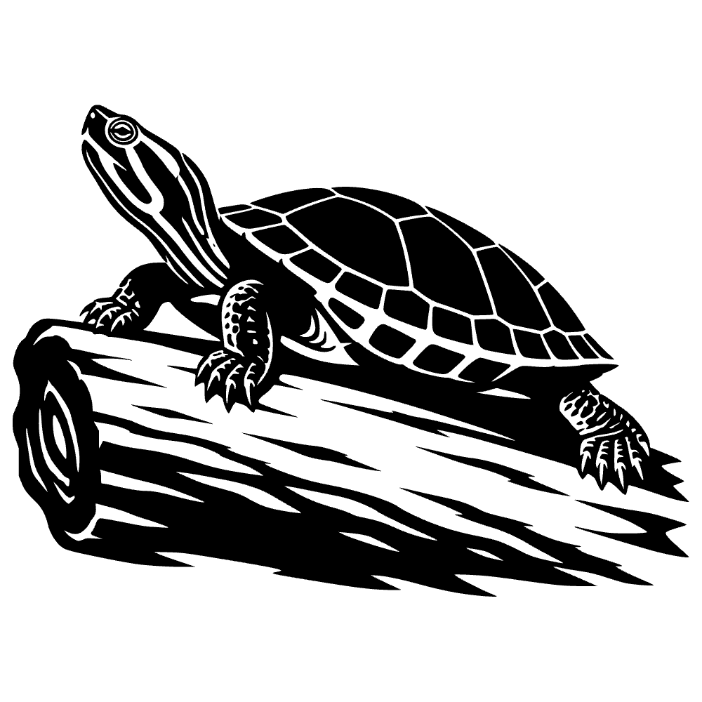 Tortuga pintada tomando el sol — archivo SVG