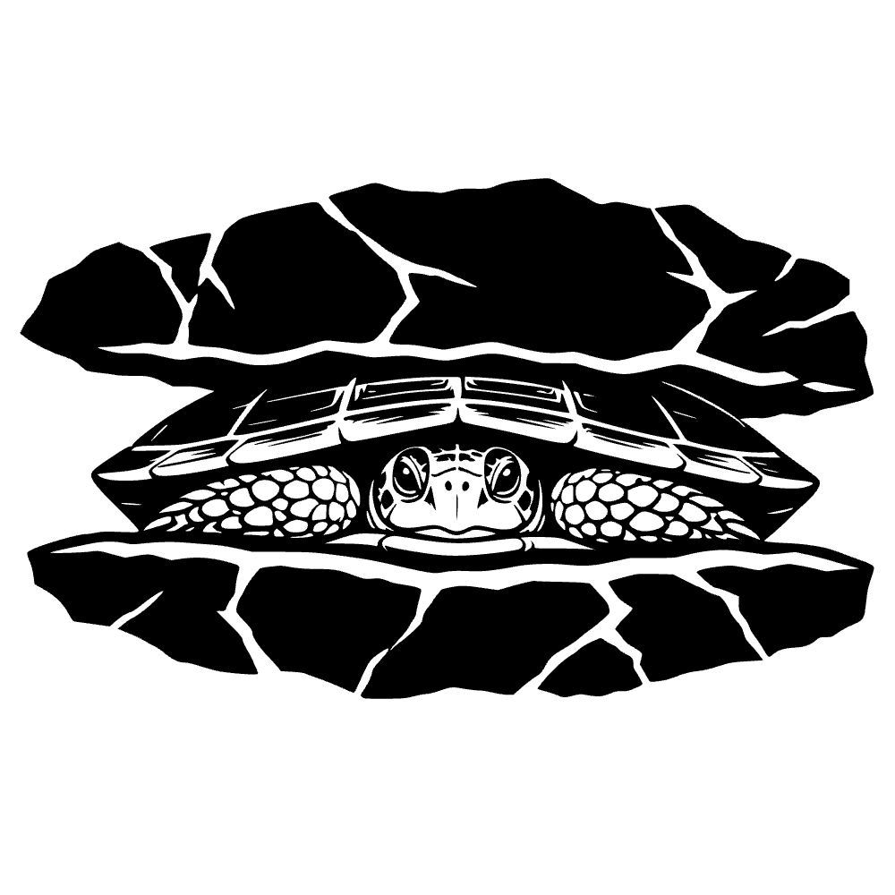 Pancake Tortoise Icon SVG cut file