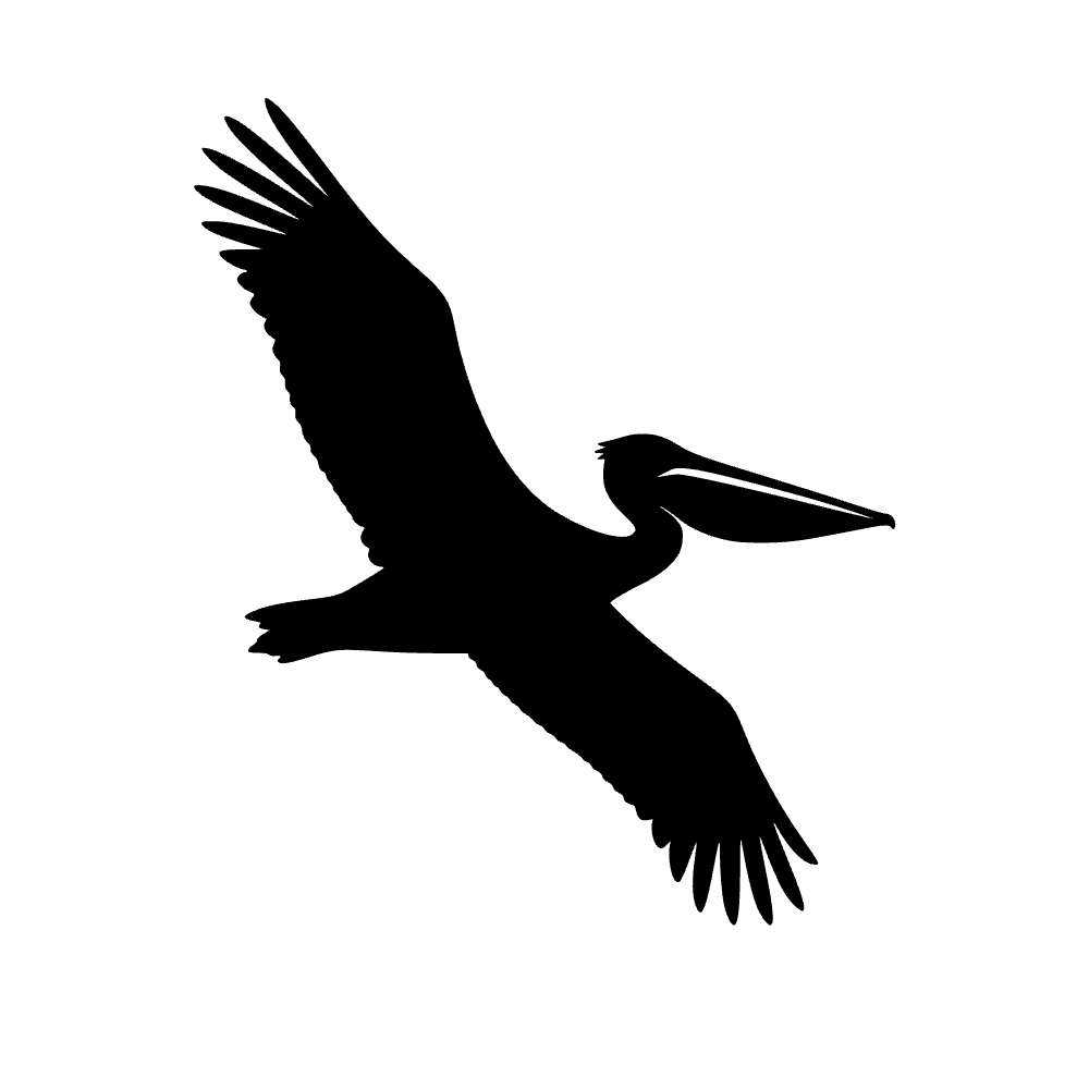 Pelícano volando — archivo SVG