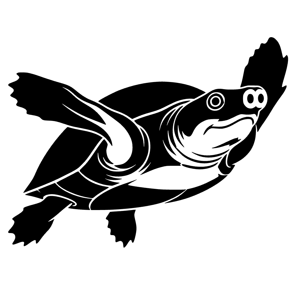 Tortuga de hocico de cerdo — archivo SVG
