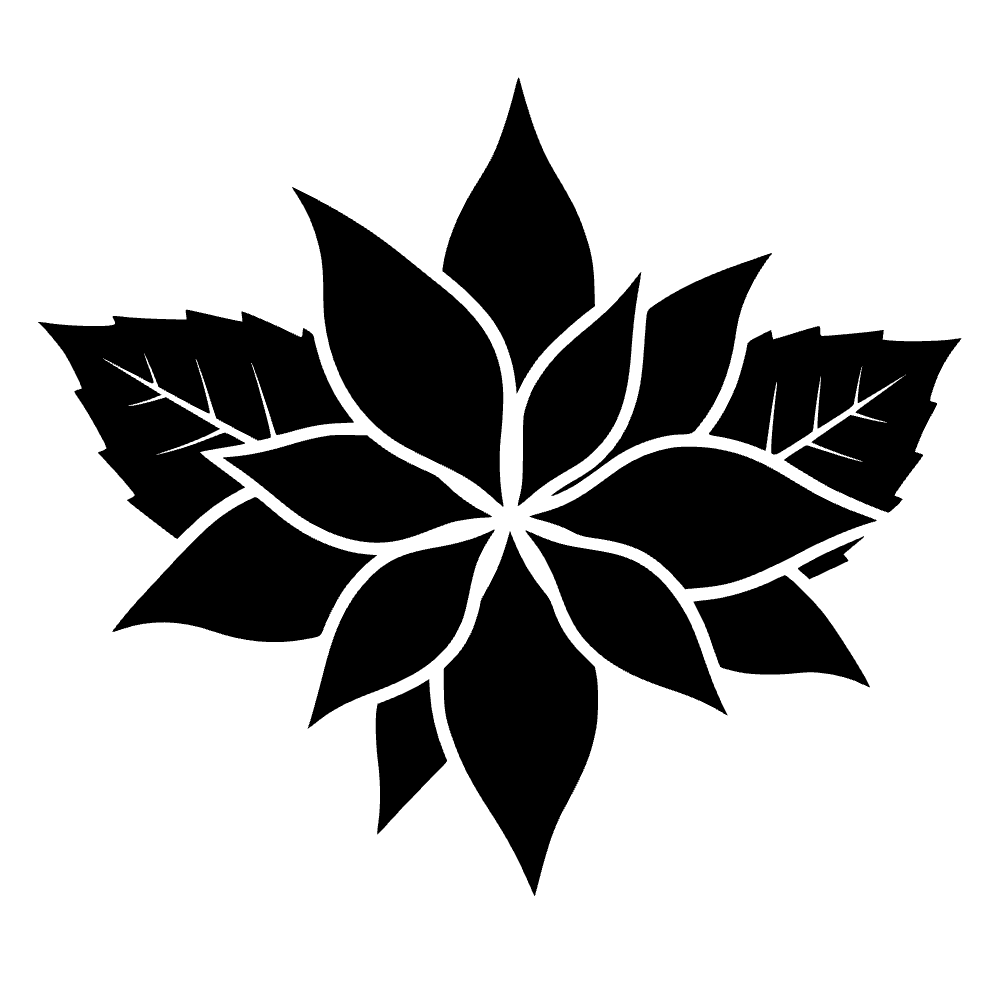 Flor de nochebuena con hojas — archivo SVG