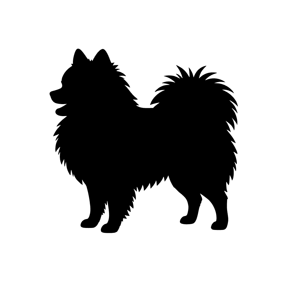 Perro pomerania — archivo SVG