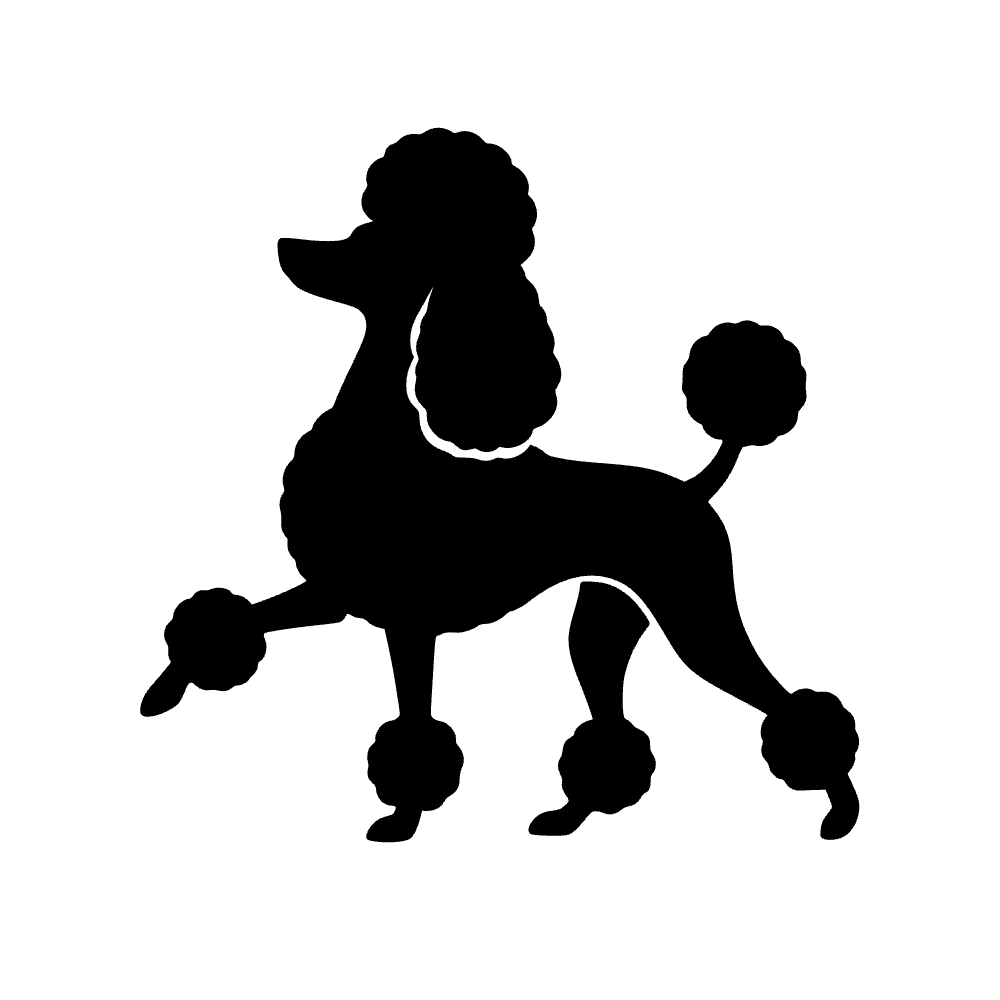 Perro caniche pom pom — archivo SVG