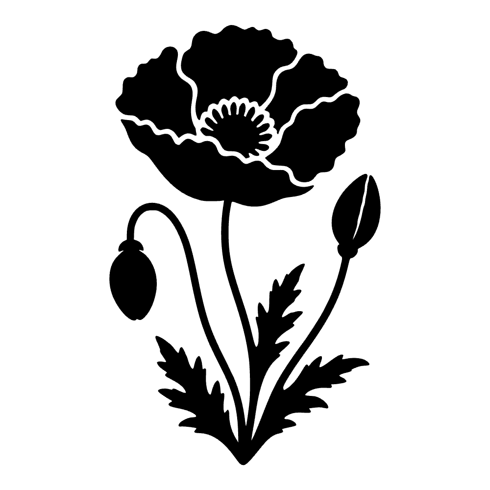 Brote de flor de amapola — archivo SVG