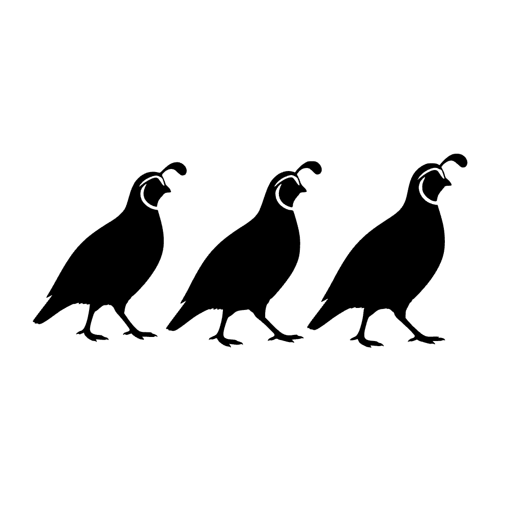 Bando de codornices — archivo SVG