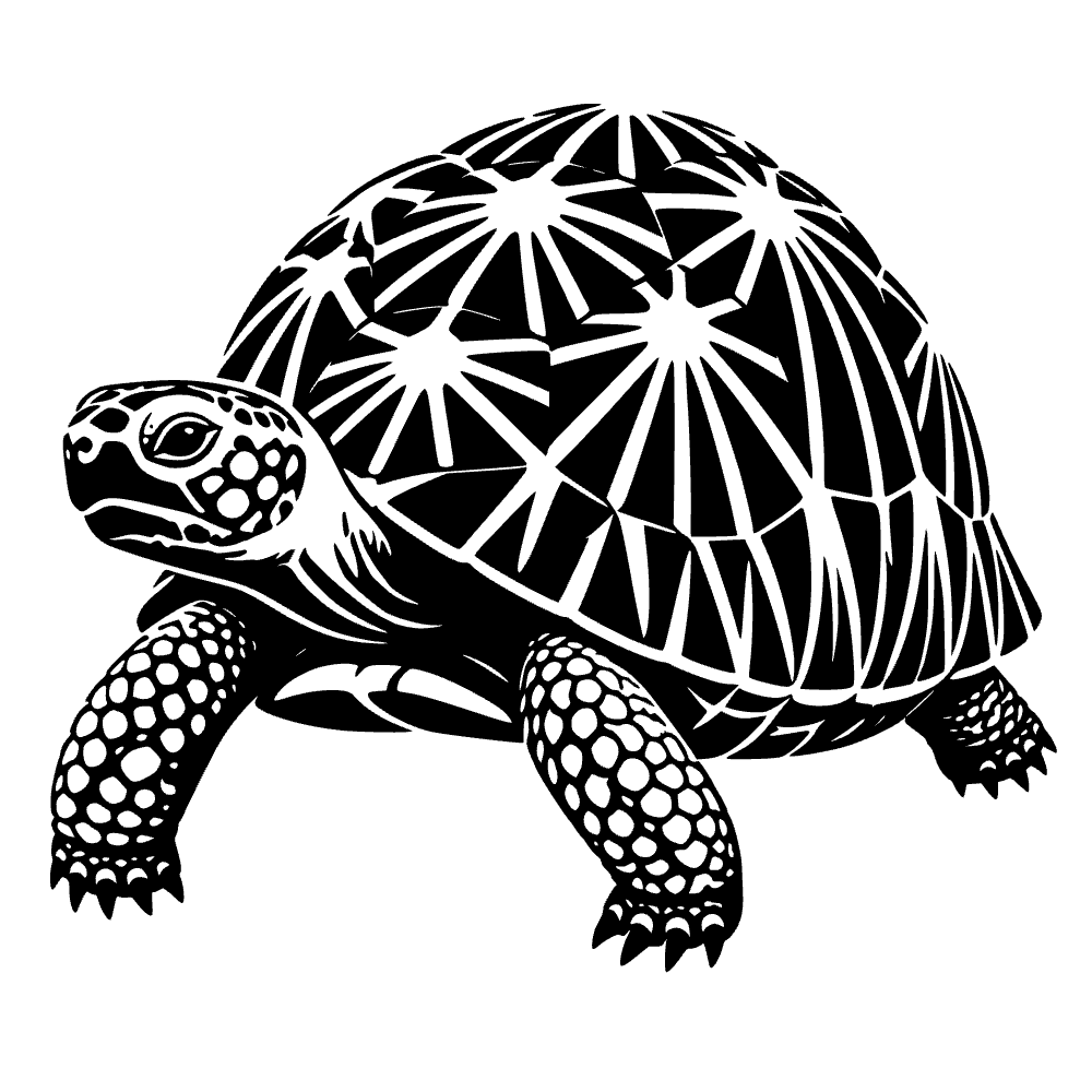 Radiated Tortoise Icon SVG cut file