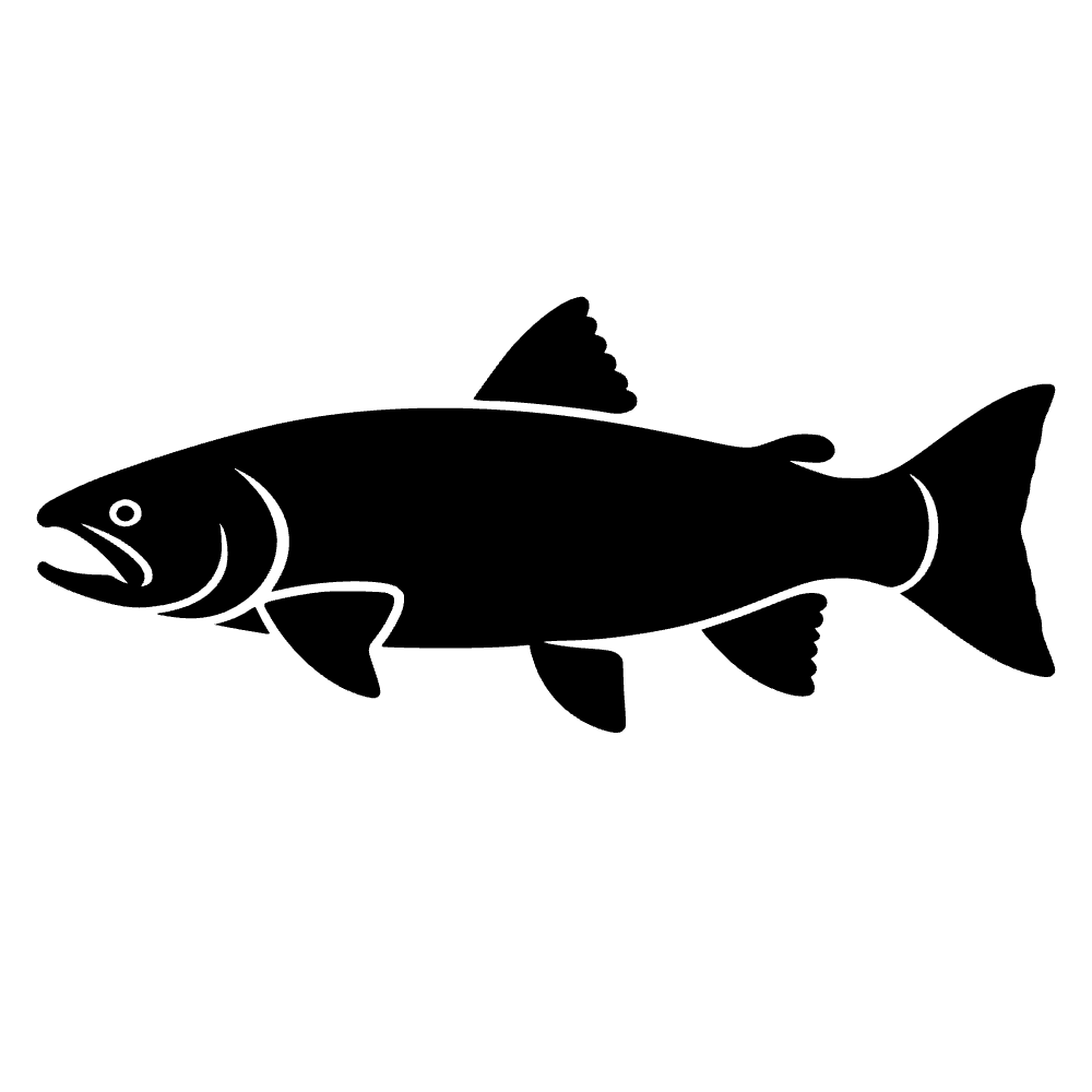 Trucha arcoíris — archivo SVG