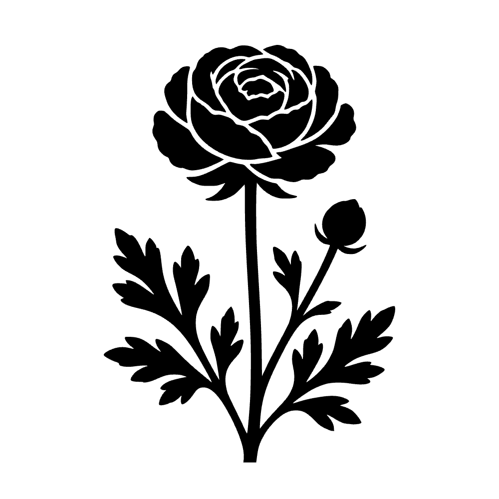 Flor de ranúnculo — archivo SVG