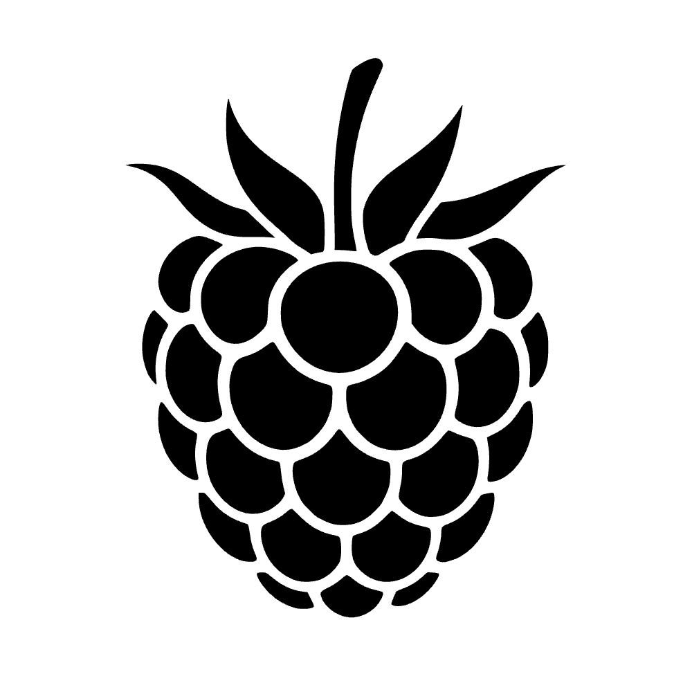 Icono de fruta de frambuesa — archivo SVG