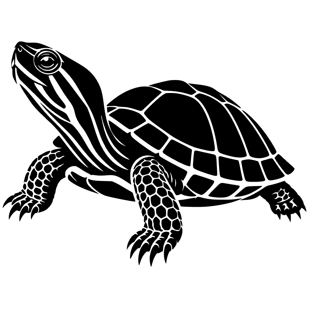 Tortuga de techo rojo — archivo SVG