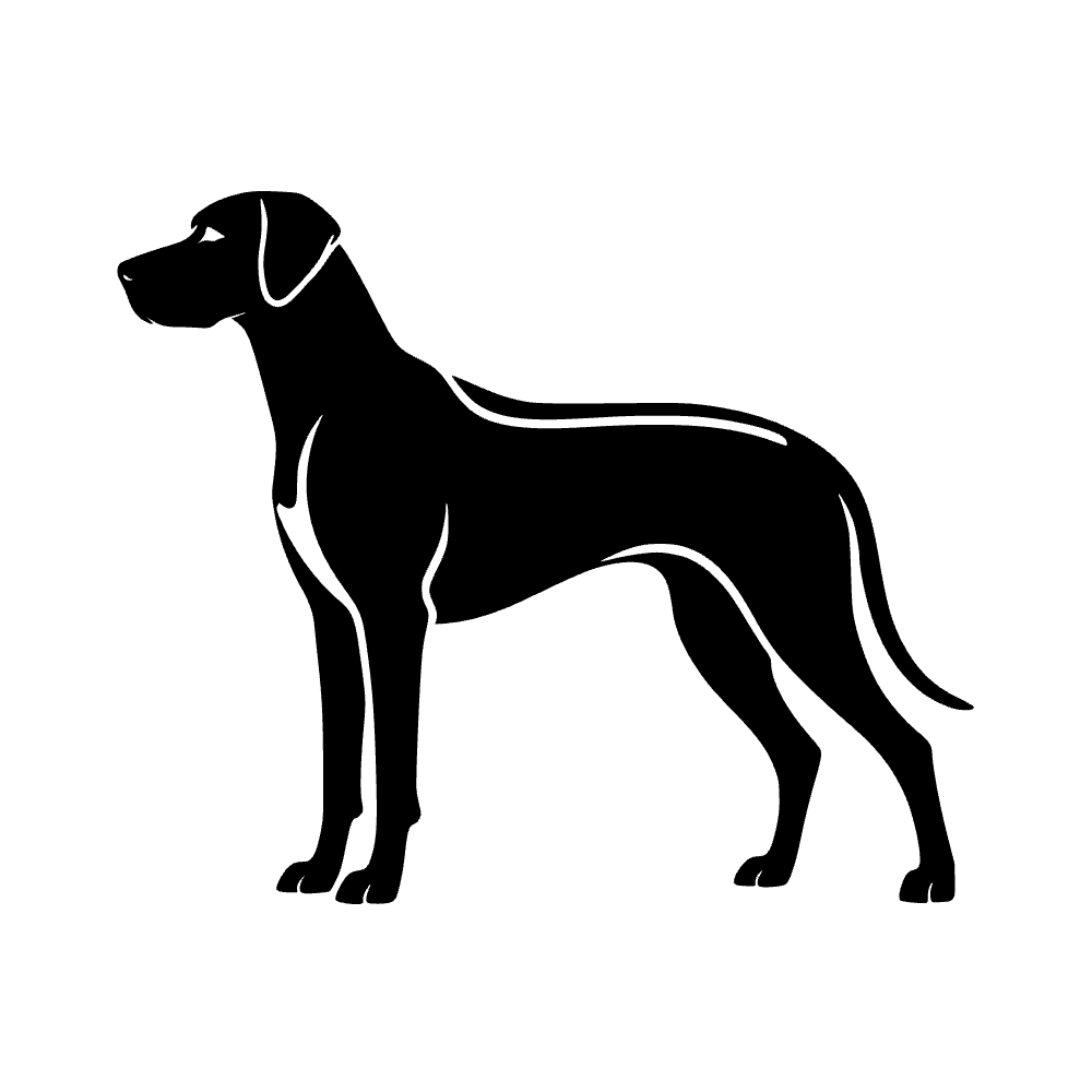 Perro rhodesiano — archivo SVG