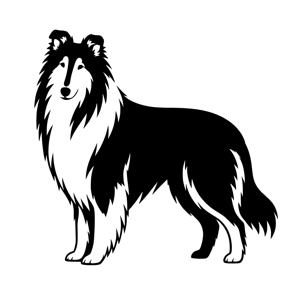 Perro collie rough — archivo SVG