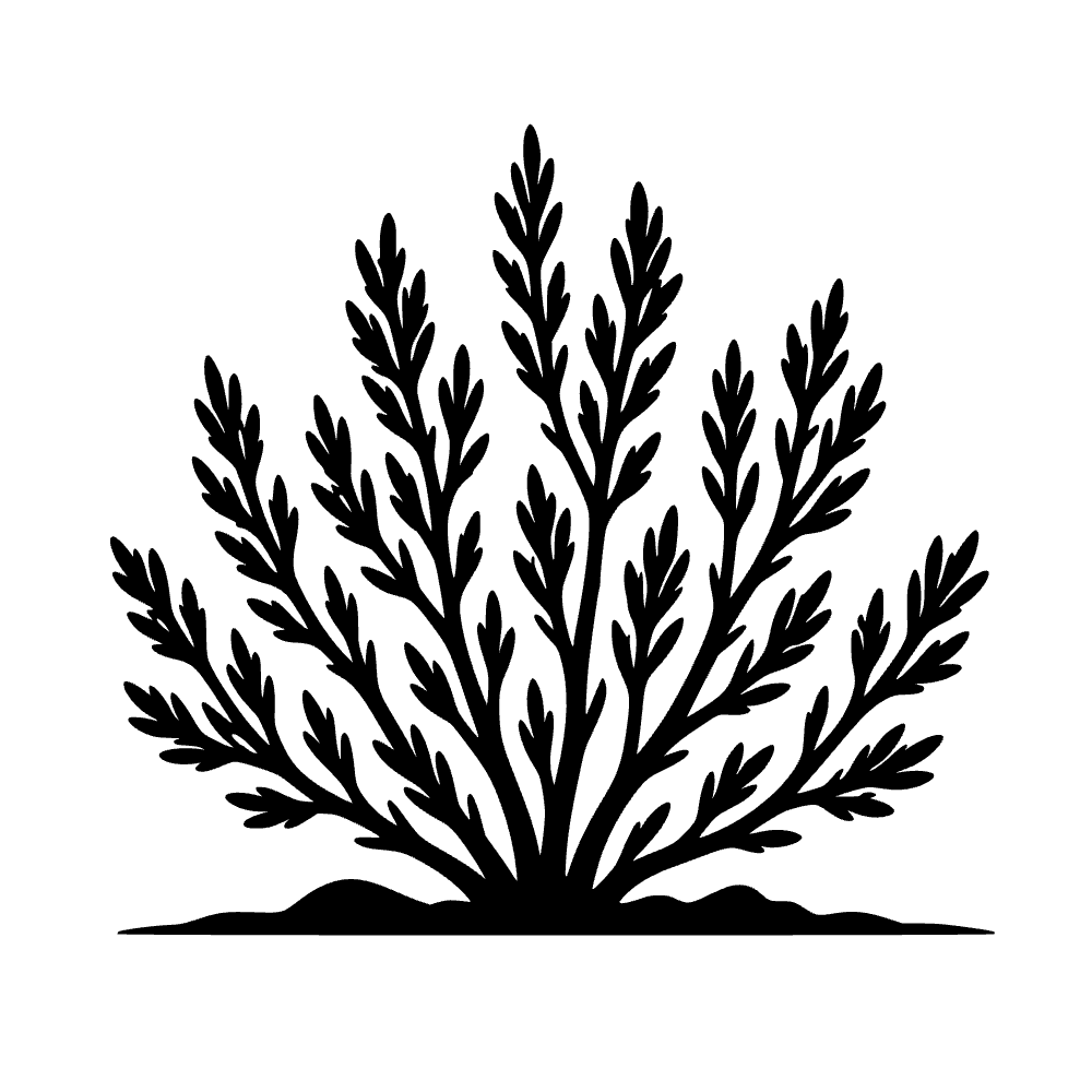 Arbusto del desierto de salvia — archivo SVG