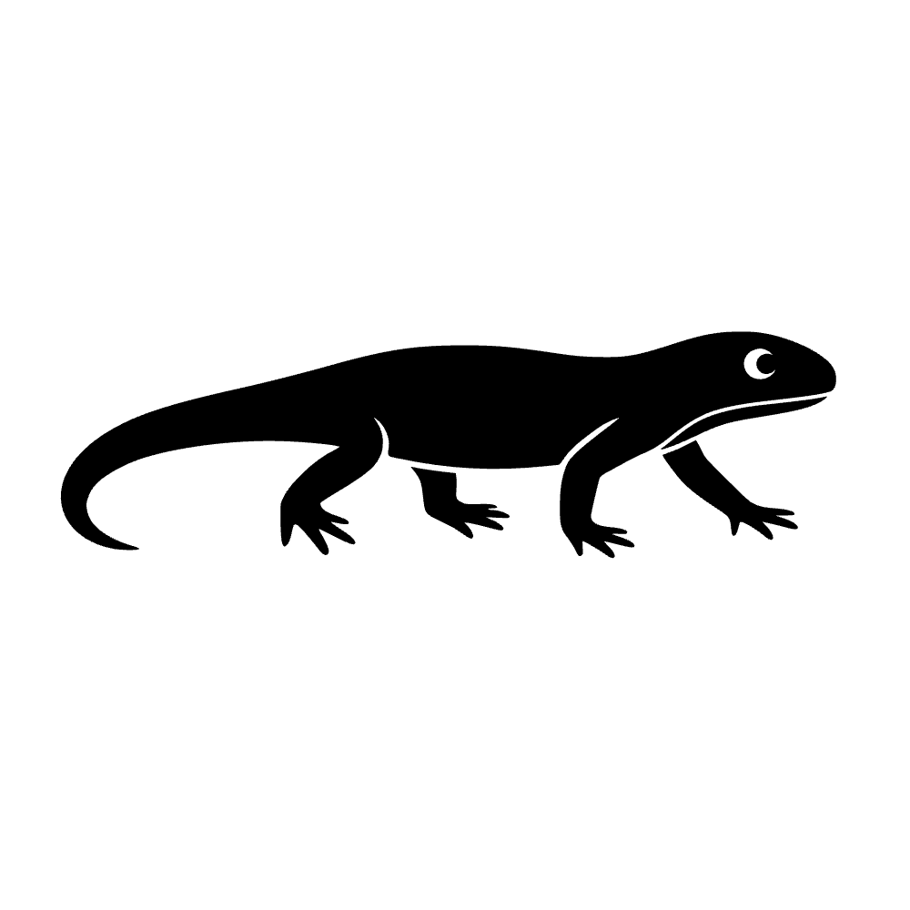 Salamandra caminando — archivo SVG