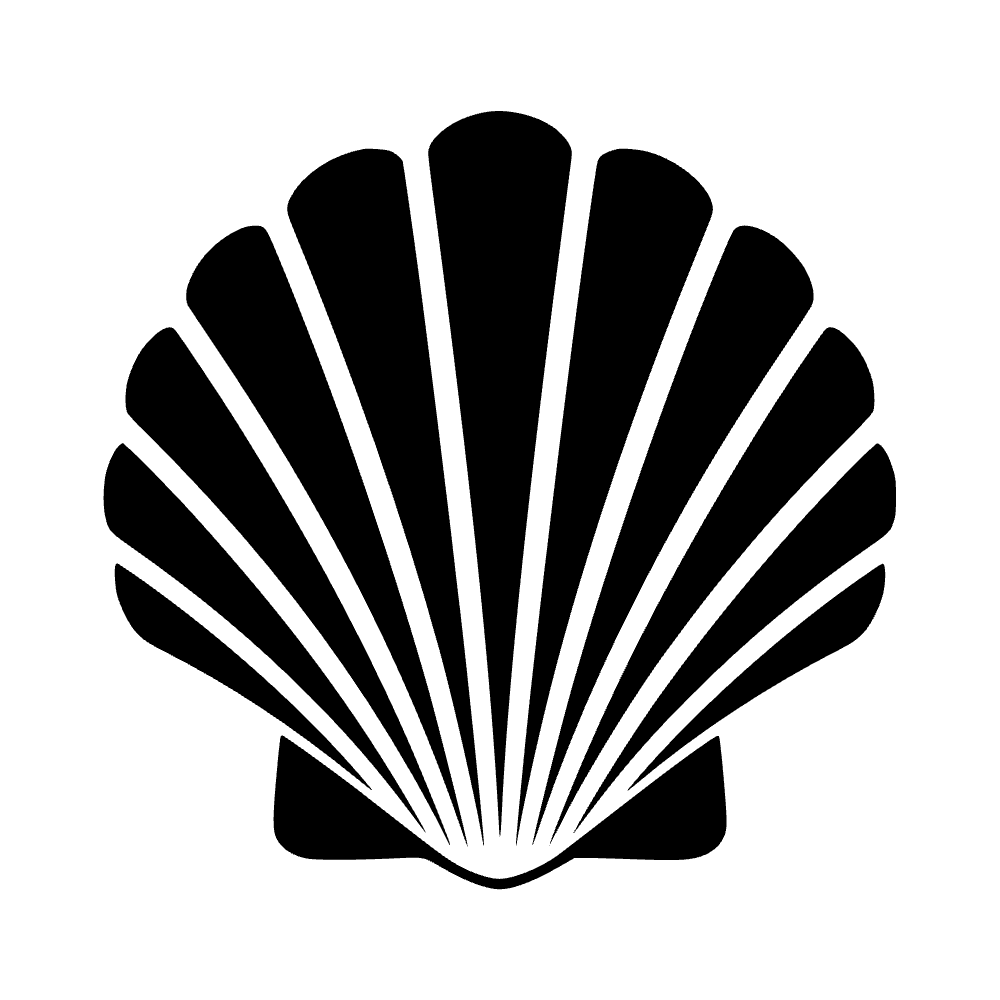 Concha de vieira — archivo SVG