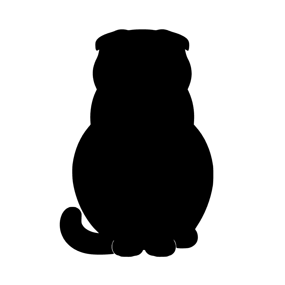 Gato scottish fold — archivo SVG