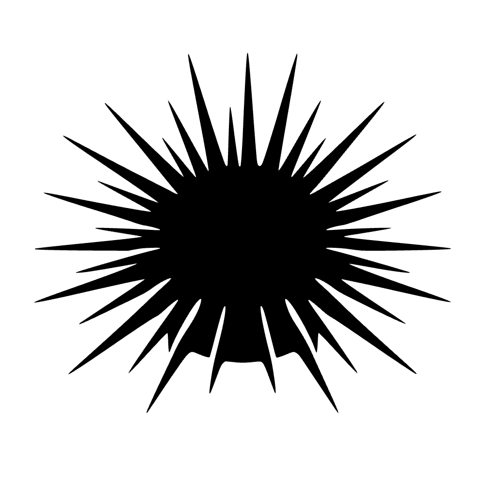 Ícono de erizo de mar — archivo SVG