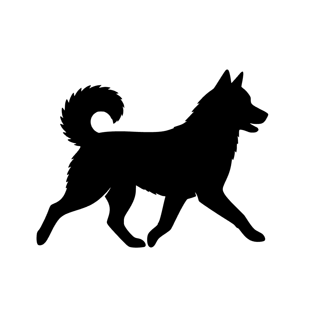 Perro husky siberiano — archivo SVG