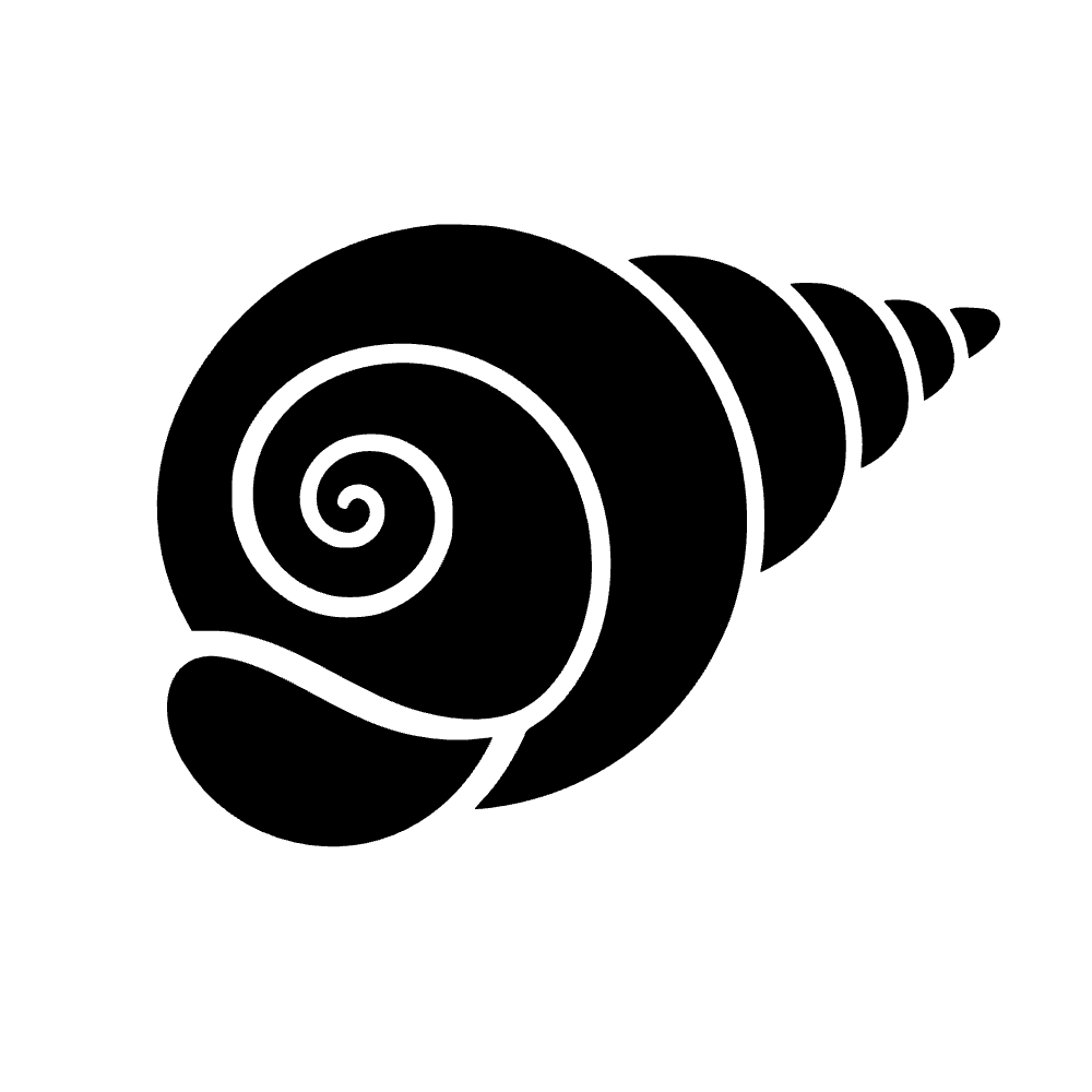 Concha de caracol — archivo SVG
