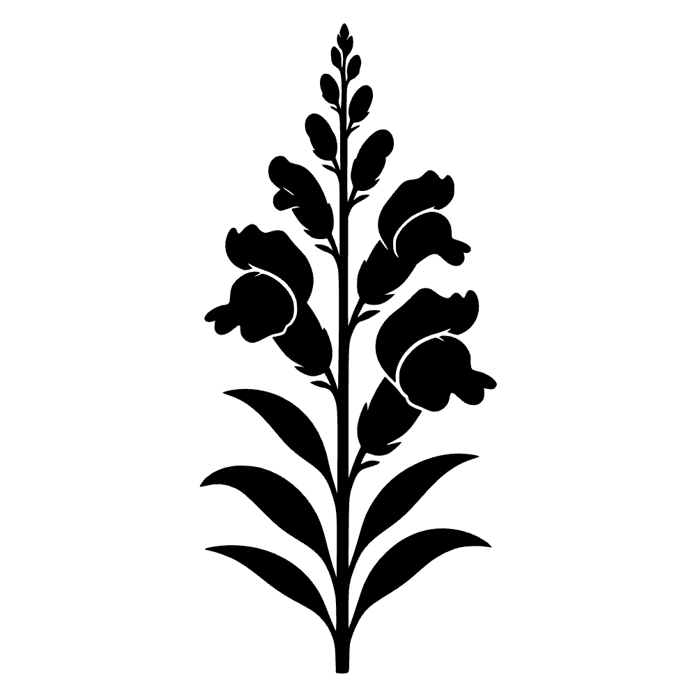 Flor de dragón — archivo SVG