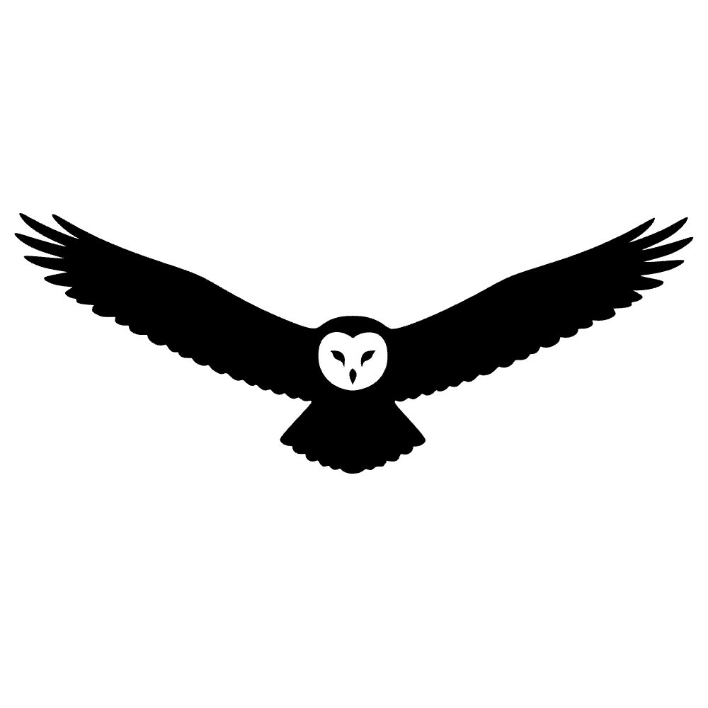 Búho nival volando — archivo SVG