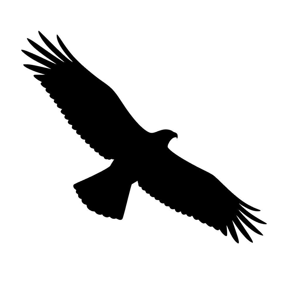 Halcón en vuelo — archivo SVG