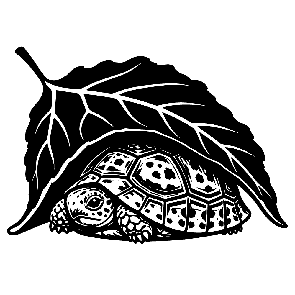 Tortuga padloper moteada — archivo SVG