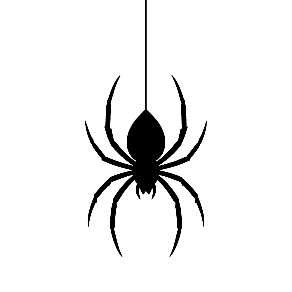 Araña colgando de un hilo — archivo SVG