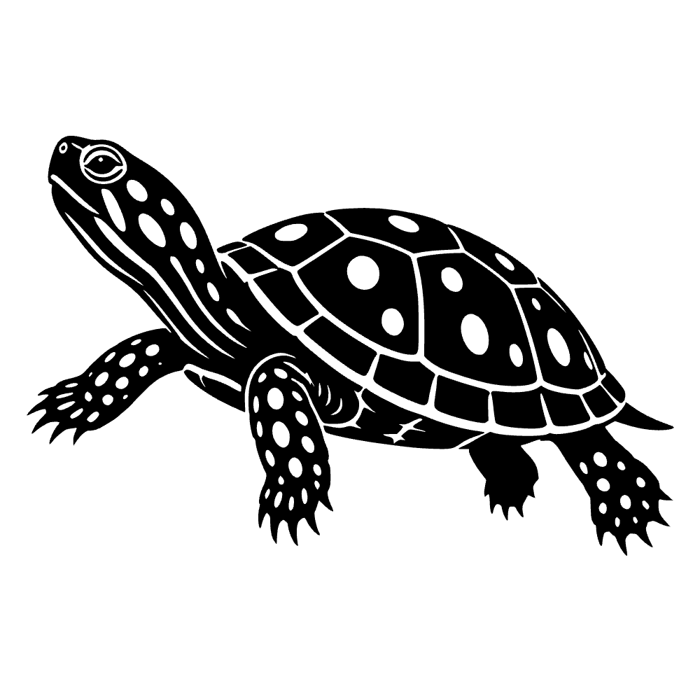 Tortuga de estanque manchada — archivo SVG