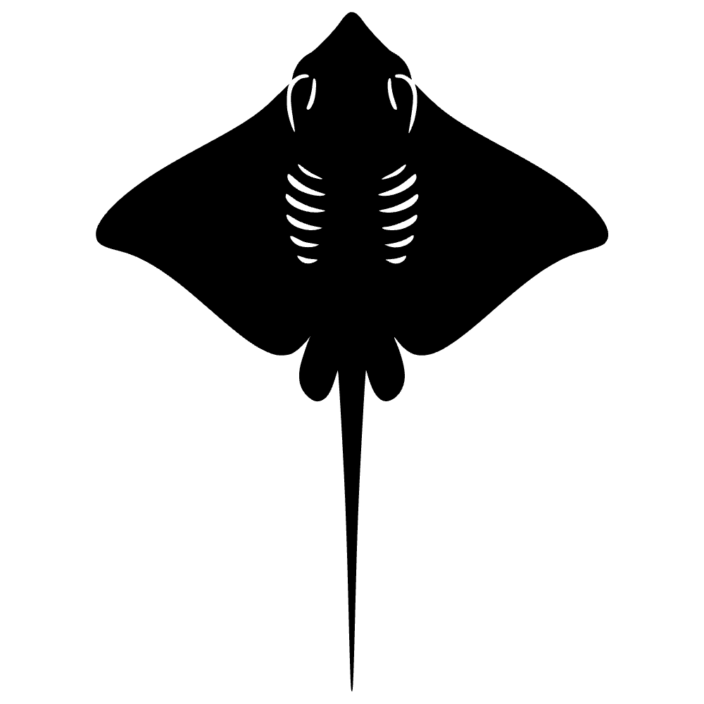 Vista superior de manta raya — archivo SVG